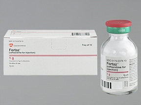 CephalosporinCeftazidimePentahydrate1GramInjectionVial10Vials