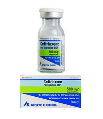 CephalosporinCeftriaxoneSodium500mg/10mLVial10mL