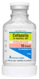 CephalosporinCefazolinSodium10Gram/100mLVial100mL