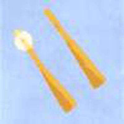 Gland Catheter 10 Fr. Word Bartholin 5 cm Catheter