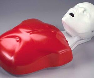 CPR Mannequin Basic Buddy?